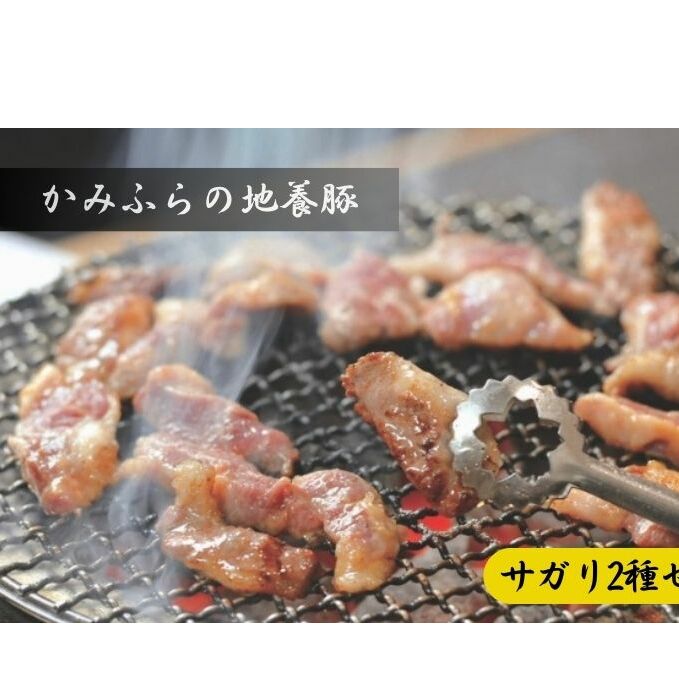かみふらのポーク【地養豚】サガリ(生・味付)2kgセット 食べ比べ ( 北海道 希少部位 お肉 さがり 豚肉 焼肉 肉 バーベキュー 小分け 切り落とし 焼肉 希少部位 旨だれ 味付け さがり 大容