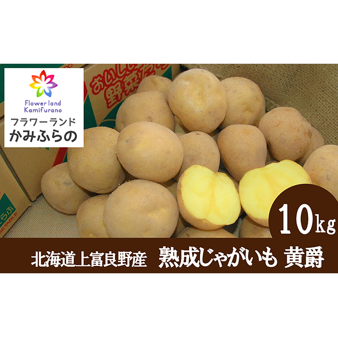 【北海道上富良野町産】蔵出し熟成じゃがいも 黄爵10kg  野菜 ジャガイモ 約10kg 北海道上富良野町16000野菜・きのこじゃがいも・イモ類