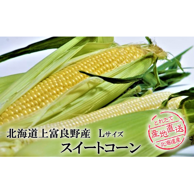 ykCxǖ쒬Yzӂ̃XC[gR[Zbg(F3{EF3{ v6{j  Ƃ낱 gERV kCxǖ쒬12000؁ÊƂ낱