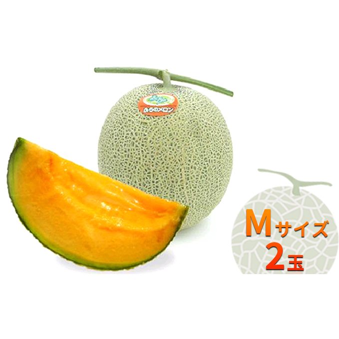 ふらの赤肉メロン【秀品】Mサイズ2玉セット 果物類 フルーツ メロン赤肉 北海道上富良野町12000果物・フルーツメロン・スイカ