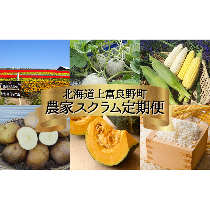 【 2025年 発送 】先行予約 北海道 上富良野 農家スクラム スペシャル 定期便 4回発送 メロン とうもろこし トウモロコシ じゃがいも ジャガイモ かぼちゃ カボチャ お米 ゆめぴりか 果物 フ