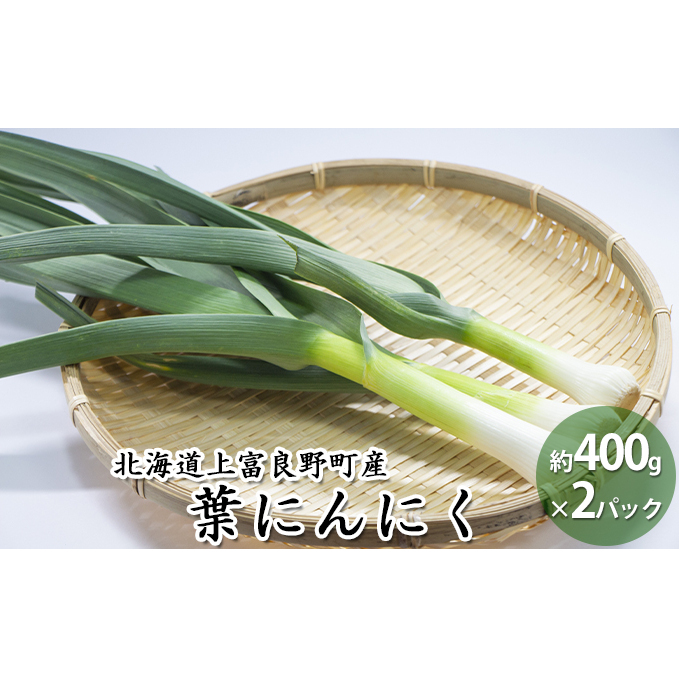 2025年 発送 先行予約 北海道 上富良野町 産 葉 にんにく 約400g×2パック 計800g 産地直送 希少 香味 野菜 薬味 葉にんにく ニンニク 北海道上富良野町14000野菜・きのこその他 野菜