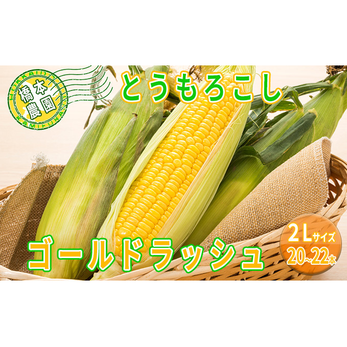 橋本農園のとうもろこし(ゴールドラッシュ)20〜22本 ※2Lサイズ 野菜 コーン 夏野菜 産地直送 北海道産 北の大地 焼きもろこし コーンバター バーベキュー キャンプ 料理 北海道上富良野