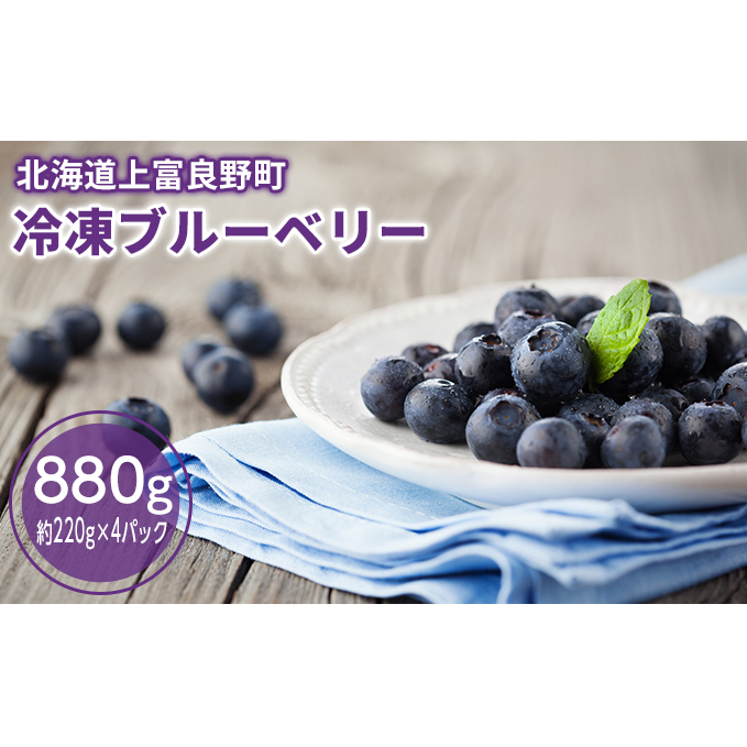冷凍 大粒 ブルーベリー 880g(220g×4p)北海道 上富良野産 小分け 果物 フルーツ 果実 そのまま ヨーグルト アイス トッピング スムージー 冷凍フルーツ 国産 日本産 冷凍果物 北海道上富良野