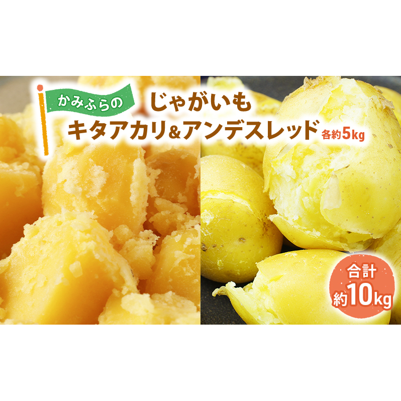 ݂ӂ̂ႪuL^AJ5kg & AfXbh5kgv  {̖ kCY kC Y Y O H |eg kCYႪ kCxǖ쒬12000؁Ê