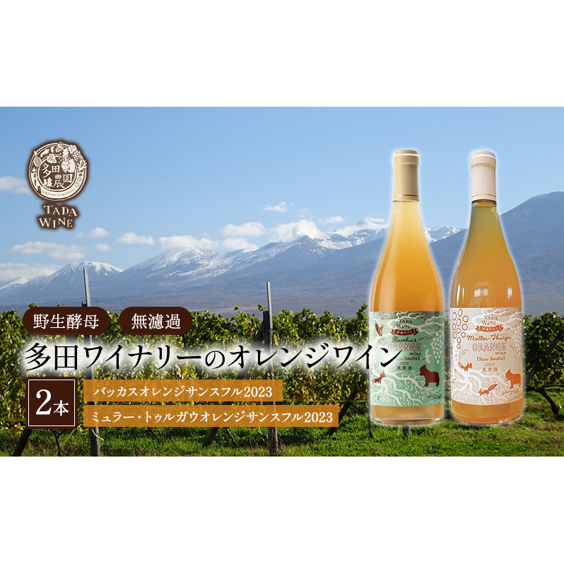 【酸化防止剤無添加 野生酵母 無濾過】オレンジワイン 2本 多田ワイナリー 北海道 上富良野町 ワイン 果実酒北海道上富良野町26000酒・アルコールワイン