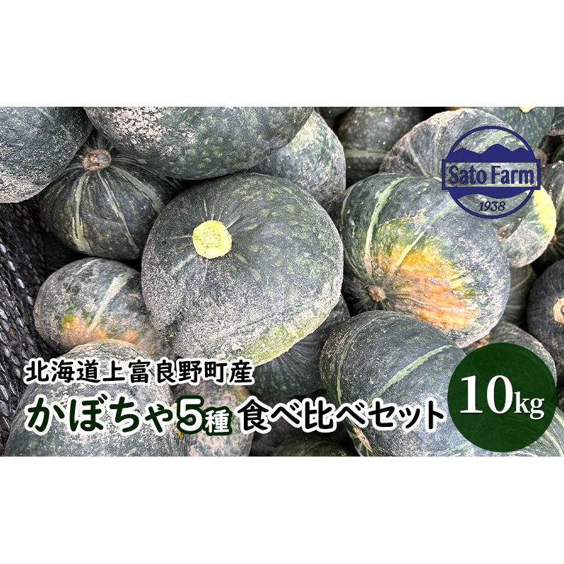 北海道 上富良野 産 かぼちゃ 5種 食べ比べ セット10kg 南瓜 パンプキン 野菜 農家直送 佐藤ファーム北海道上富良野町14000野菜・きのこその他 野菜