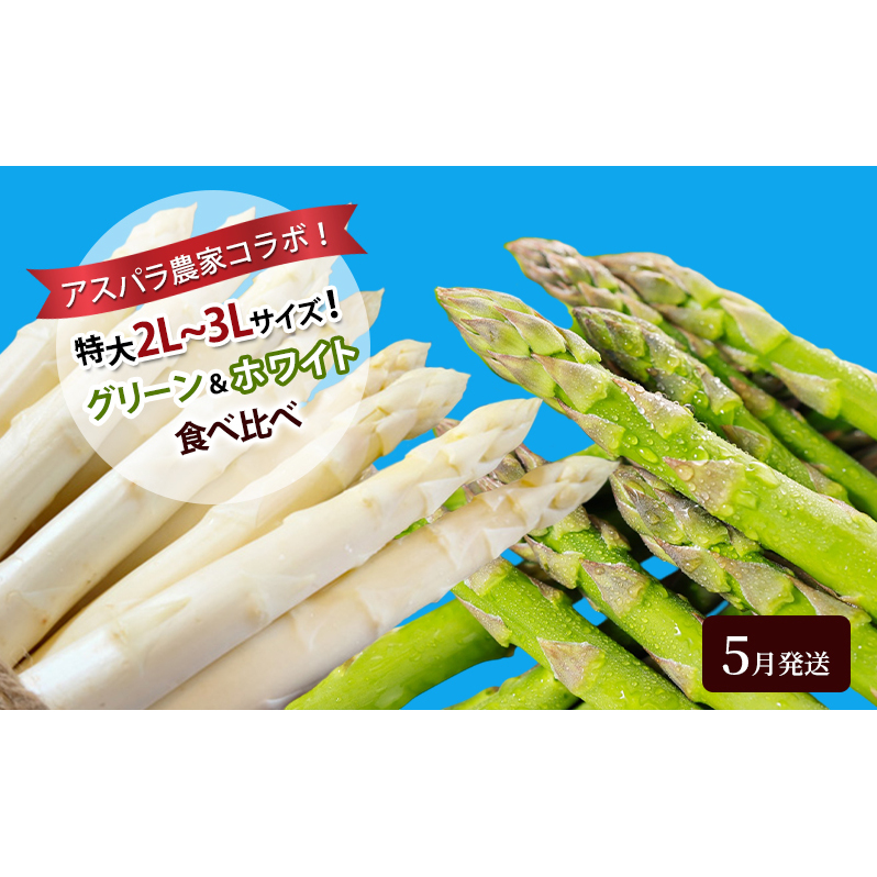 アスパラ農家コラボ!特大2L〜3Lサイズ!グリーン&ホワイト食べ比べ【5月発送】アスパラガス 野菜北海道上富良野町31000野菜・きのこその他 野菜