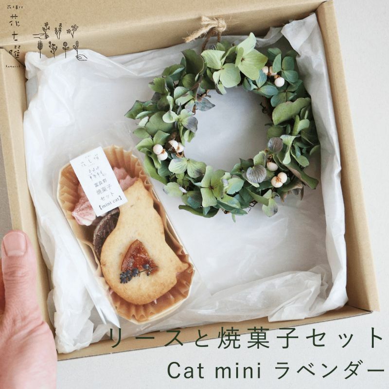 xǖ Ԏj [XƏĉَqZbg Cat mini x_[   hCt[kCxǖ쒬14000َqEXC[cĂَq