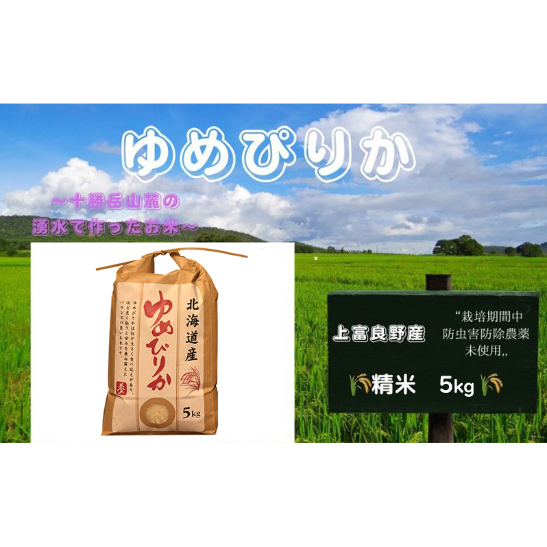 北海道 上富良野産「 ゆめぴりか 」特別栽培 白米 5kg(令和7年産)  お米 日用品 ライス ご飯 食べ物 ストック 常備品 北海道産 おにぎり お弁当北海道上富良野町24000米・パン白米