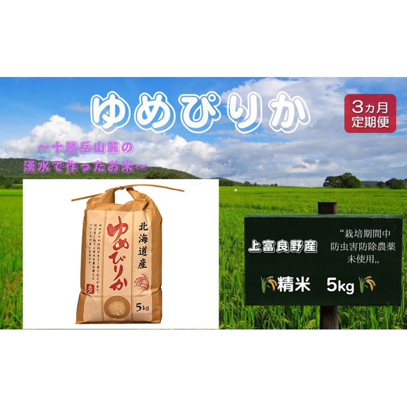 kC xǖYu ߂҂肩 vʍ͔|  5kgiߘa7NYjy S3z  pi CX  Hו XgbN i kCY ɂ ٓkCxǖ쒬71000āEp