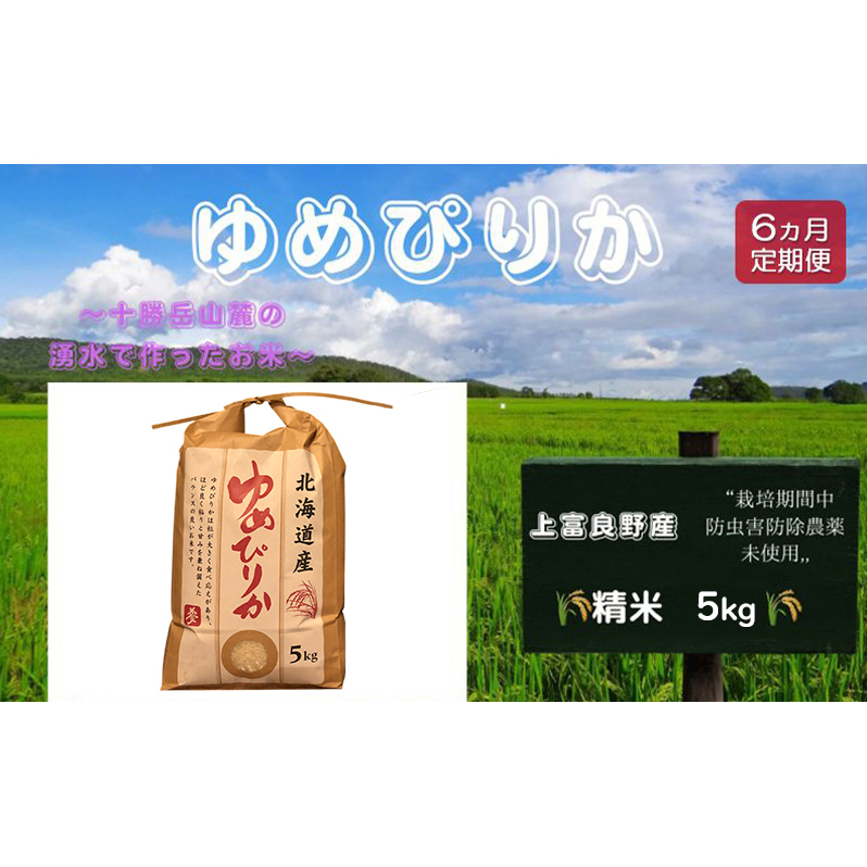 kC xǖYu ߂҂肩 vʍ͔|  5kgiߘa7NYjy S6z  pi CX  Hו XgbN i kCY ɂ ٓkCxǖ쒬141000āEp