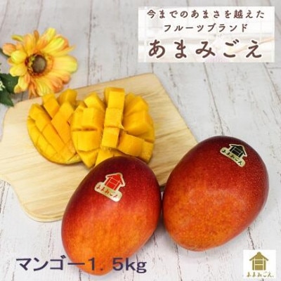 【数量限定・2023年発送】あまみごえマンゴー1.5kg【配送不可地域:離島】【1247331】埼玉県川越市25000果物・フルーツマンゴー・パイナップル