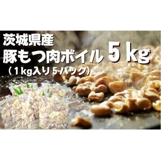 DH-16 錧Y@؂{Ci1kg×5܁j錧ss12000ؓ