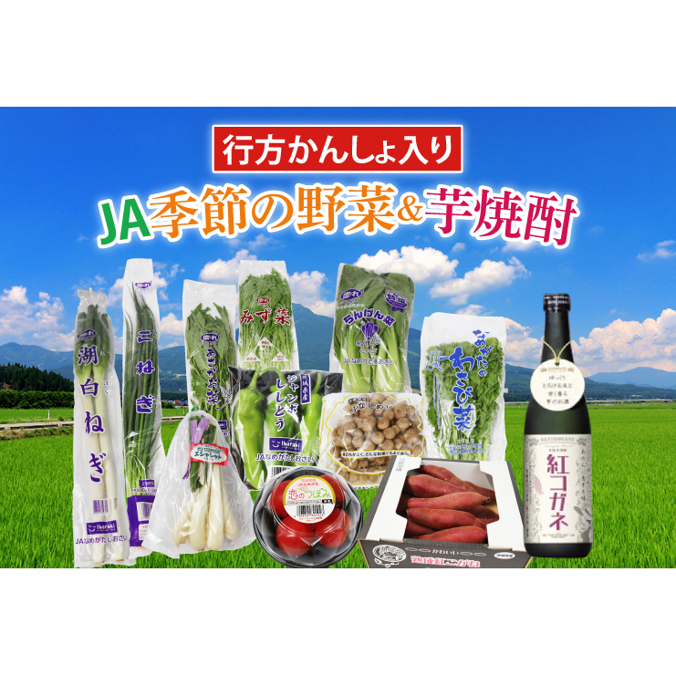 【『行方かんしょ』入り】JA 季節の野菜&芋焼酎(AE-5)茨城県行方市14000野菜・きのこその他 野菜