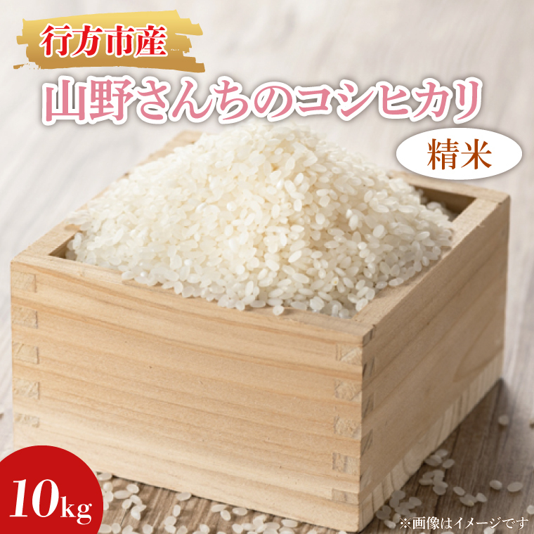 ★令和7年度産★山野さんちのコシヒカリ 10kg(精米)|米 お米 こめ こしひかり コシヒカリ 令和7年産 R7年産 精米 茨城県 行方市(BR-7-1)茨城県行方市30000米・パン白米