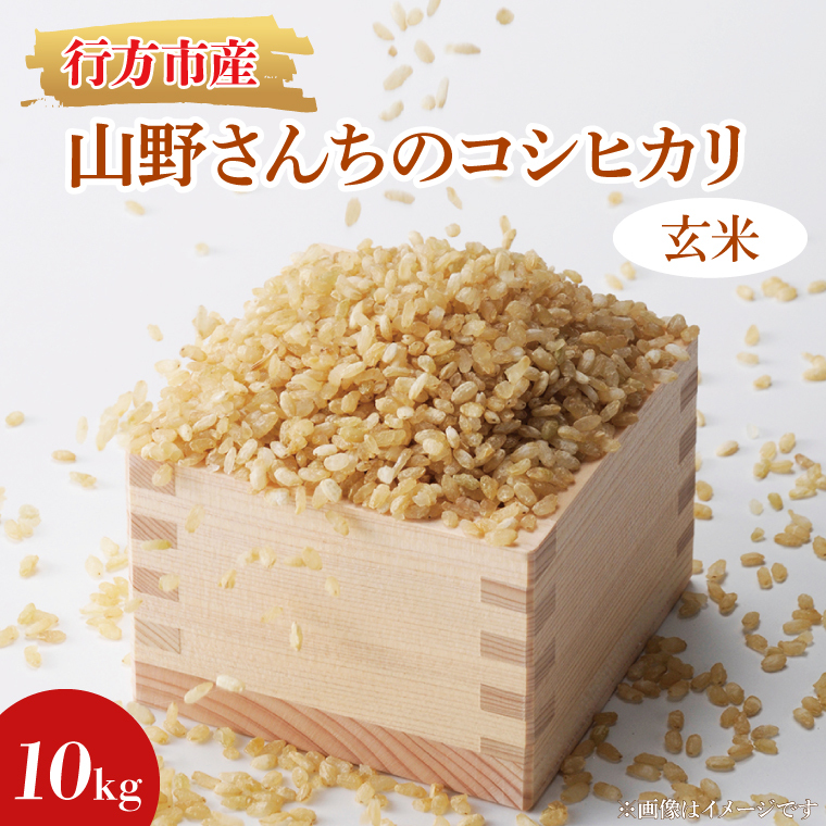 ★令和7年度産★山野さんちのコシヒカリ 10kg(玄米)|米 お米 こめ こしひかり コシヒカリ 令和7年産 R7年産 新米 玄米 茨城県 行方市(BR-5-1)茨城県行方市30000米・パン白米