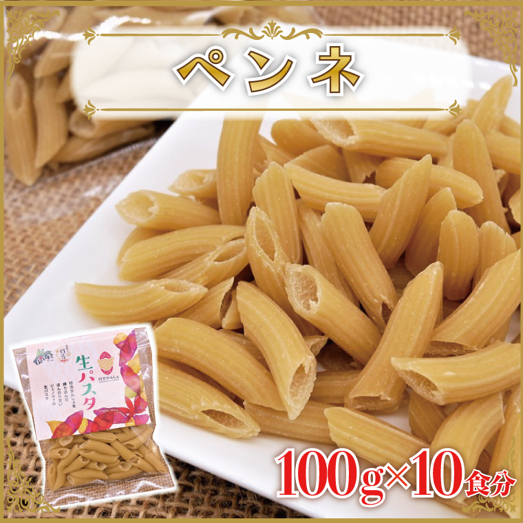 CJ-12 生パスタ (ペンネ10食分)茨城県行方市5000麺パスタ