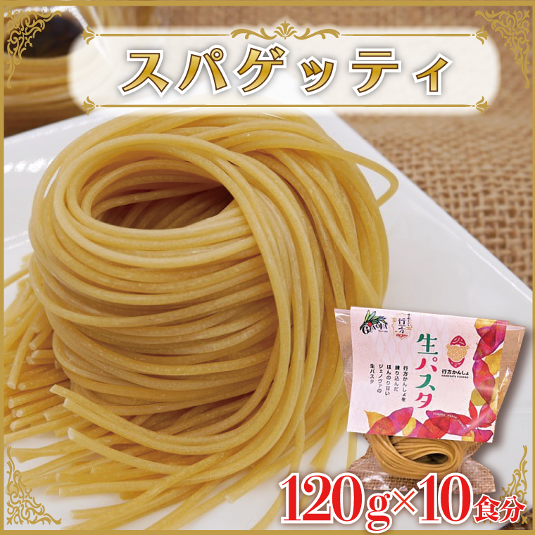 CJ-15 生パスタ (スパゲッティ10食分)茨城県行方市5000麺パスタ