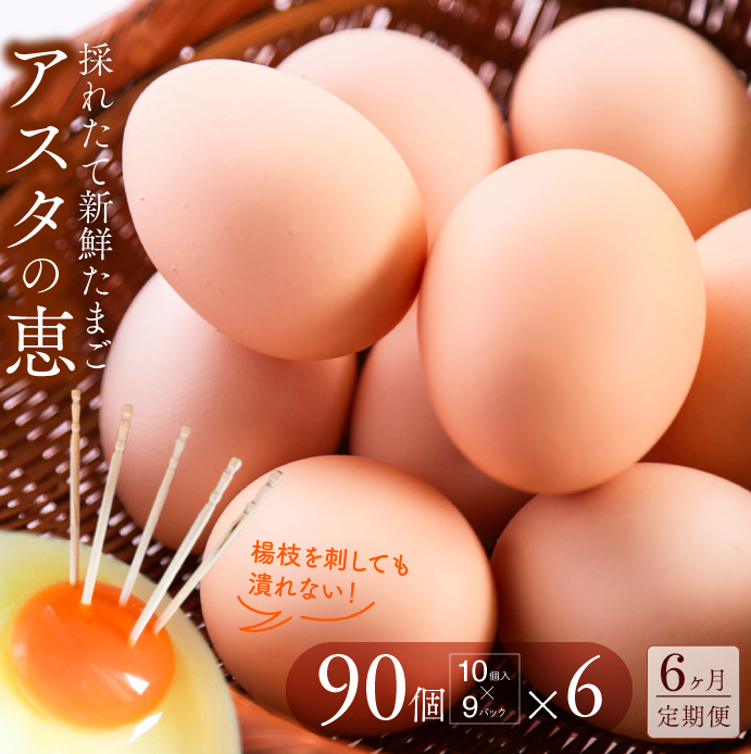 U-8 ◆6ヵ月定期便◆ 黄身がしっかり濃厚な卵【アスタの恵み】90個×6茨城県行方市80000卵・乳製品卵(鶏、烏骨鶏等)