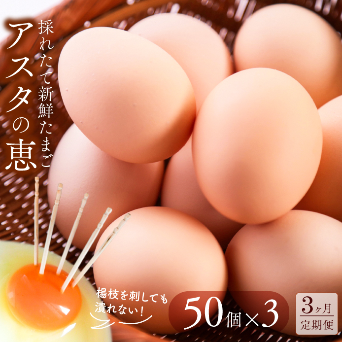 U-4 ◆3ヵ月定期便◆ 黄身がしっかり濃厚な卵【アスタの恵み】50個×3茨城県行方市25000卵・乳製品卵(鶏、烏骨鶏等)