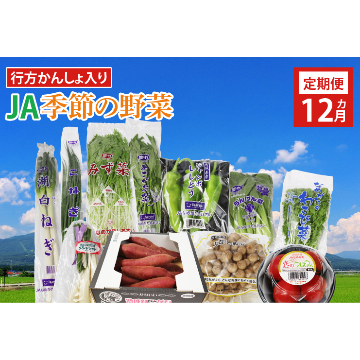 AE-23 『行方かんしょ』入り【12ヶ月定期便】JAなめがたしおさい 季節の野菜セット(毎月1回 計12回発送)茨城県行方市80000野菜・きのこその他 野菜