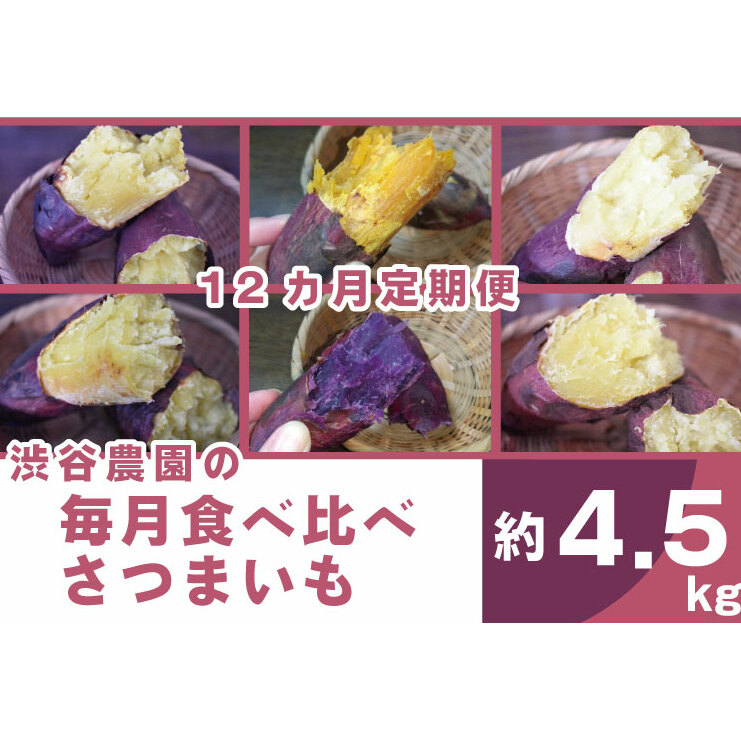 【12ヶ月定期便】渋谷農園の毎月食べ比べさつまいも 約4.5kg|さつまいも サツマイモ さつま芋 お芋 食べ比べ 定期便 毎月 紅はるか きみまろこ シルクスイート 栗かぐや 渋谷農園 さつまい
