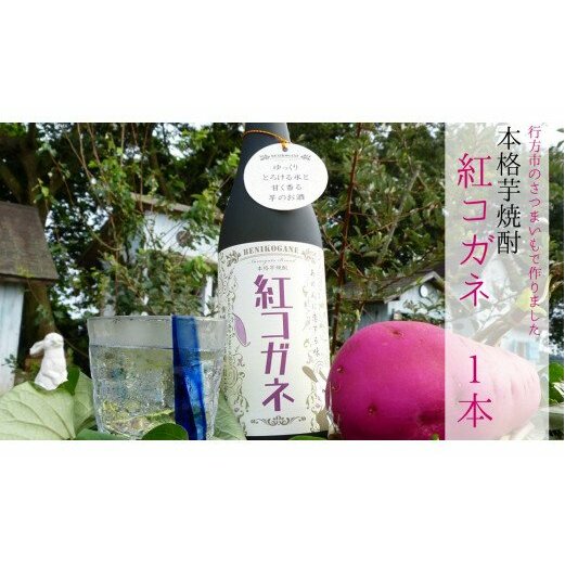 CT-17 【本格芋焼酎】紅コガネ(720ml)1本茨城県行方市5000酒・アルコール焼酎