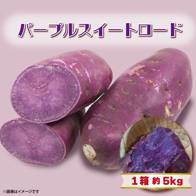 【2025年11月より順次発送】2025年度産 パープルスイートロード 約5kg|さつまいも 芋 お芋 パープルスイートロード 渋谷農園 先行予約 茨城県 行方市(BZ-9)茨城県行方市10000野菜・きのこじゃが