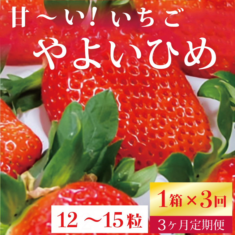 【2026年2月より順次発送】【3ヶ月定期便】甘〜い!いちご やよいひめ 1箱(12粒〜15粒入り)|いちご イチゴ 苺 ストロベリー やよいひめ 果物 くだもの フルーツ 定期便 フルーツ定期便 先行