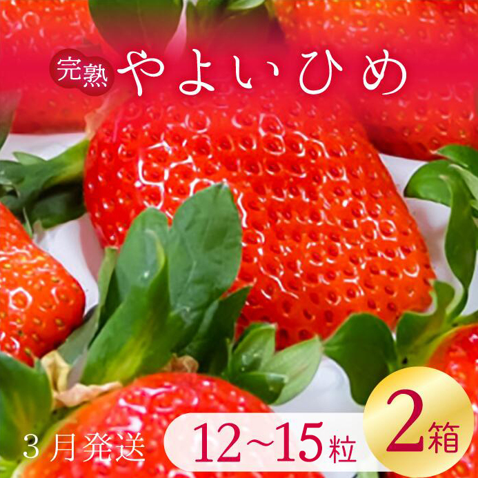 y2026N3zÁ`I 悢Ђ 2(1F12`15)b C`S  Xgx[ 悢Ђ ʕ  t[c s\ 錧 ss(V-9)錧ss10000ʕ