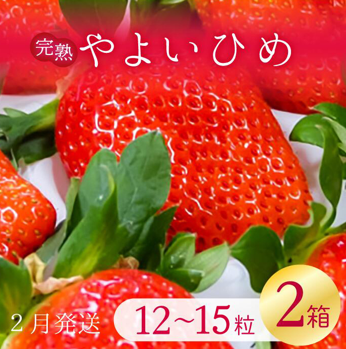 y2026N2zÁ`I 悢Ђ 2(1F12`15)b C`S  Xgx[ 悢Ђ ʕ  t[c s\ 錧 ss(V-10)錧ss10000ʕ