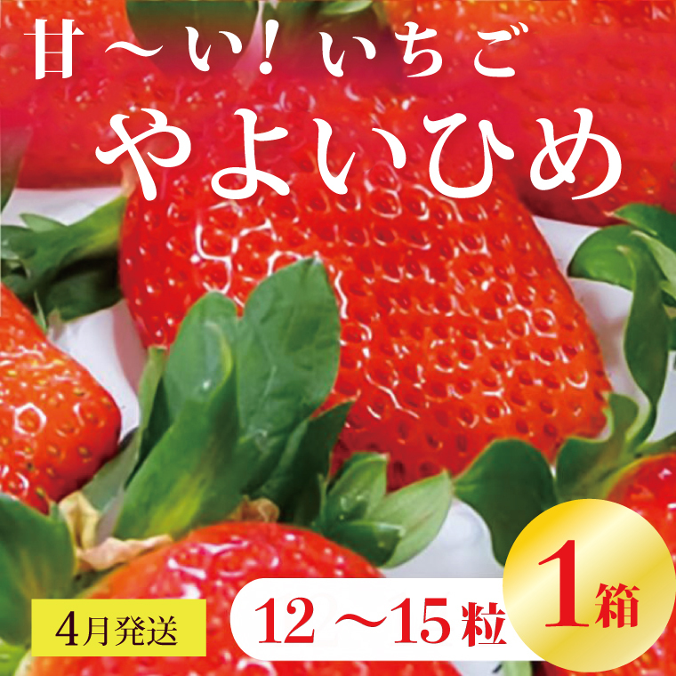 y2026N4zÁ`I 悢Ђ 1(12`15)b C`S  Xgx[ 悢Ђ ʕ  t[c s\ 錧 ss(V-17)錧ss5000ʕEt