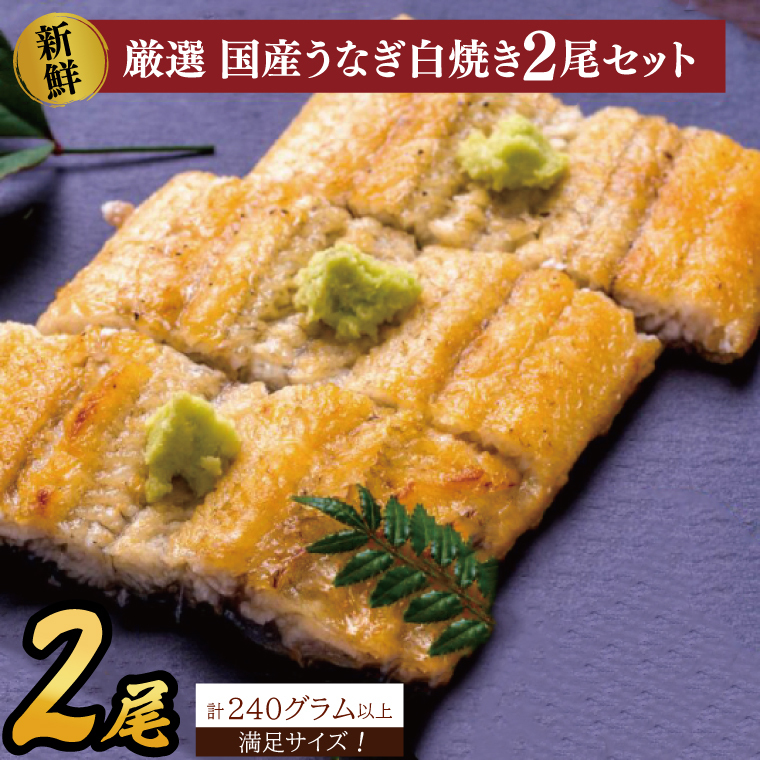 満足サイズ!国内産うなぎ白焼(酒蒸し)120〜140g 2尾 計240g以上|うなぎ 鰻 白焼 酒蒸し 満足 茨城県 行方市(AD-143-1)茨城県行方市12000魚介・海産物うなぎ