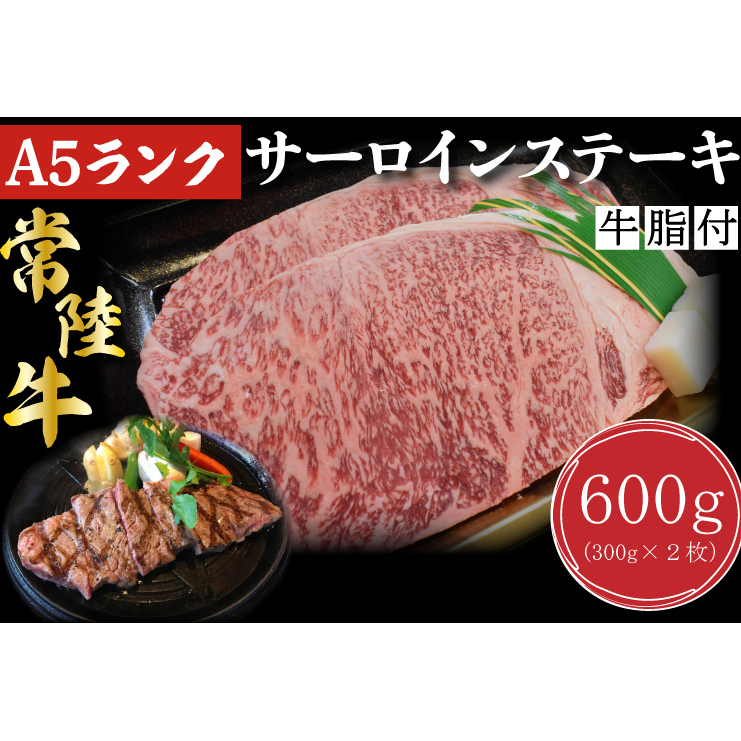 DT-2【常陸牛A5ランク】サーロインステーキ 600g(300g×2枚)茨城県行方市29000肉牛肉