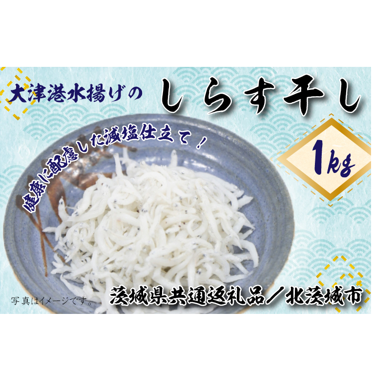 【茨城県共通返礼品/北茨城市】大津港水揚げのしらす干し1kg(DS-5-1)茨城県行方市10000魚介・海産物干物