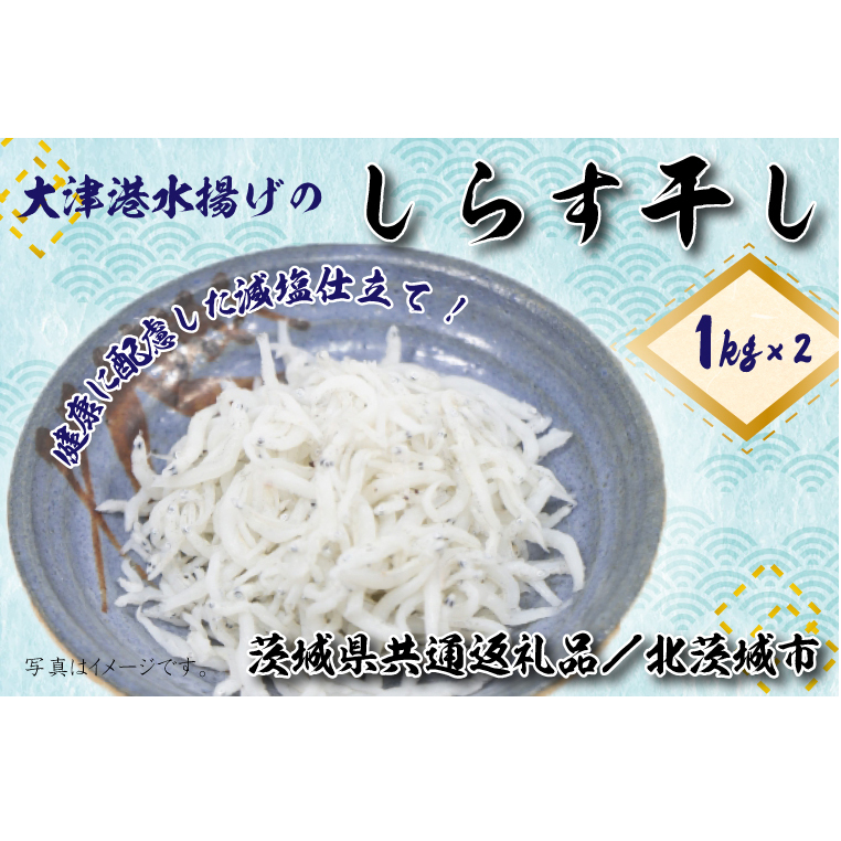 【茨城県共通返礼品/北茨城市】大津港水揚げのしらす干し2kg(1kg×2個)(DS-6-1)茨城県行方市20000魚介・海産物干物