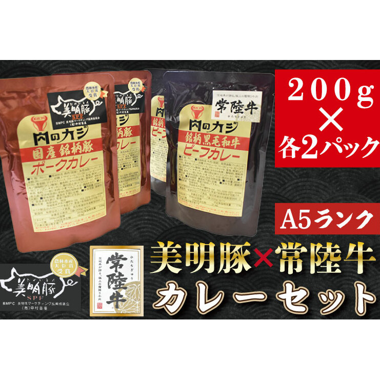 DT-42【常陸牛A5ランク】カレー2パック+【美明豚】カレー2パック茨城県行方市7000鍋セット・総菜・加工食品その他 鍋セット・総菜・加工食品