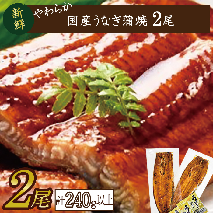 炩YȂĖTCYI120`140g 2@v240gȏ|Ȃ V   錧 ss(AD-85-1)錧ss15000ECYȂ