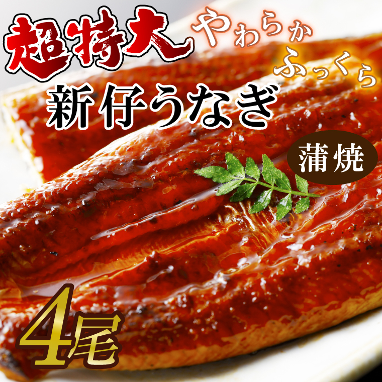 超特大!やわらか国内産うなぎ蒲焼220〜250g 4尾 計880g以上|うなぎ 鰻 蒲焼 特大 茨城県 行方市(AD-93-1)茨城県行方市43000魚介・海産物うなぎ