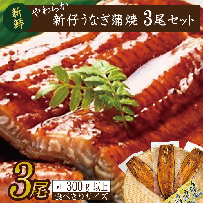 やわらか国内産うなぎ蒲焼き! 食べ切りサイズ100〜120g 3尾 計300g以上|うなぎ 鰻 蒲焼 食べ切り 茨城県 行方市(AD-105-1)茨城県行方市17000魚介・海産物うなぎ