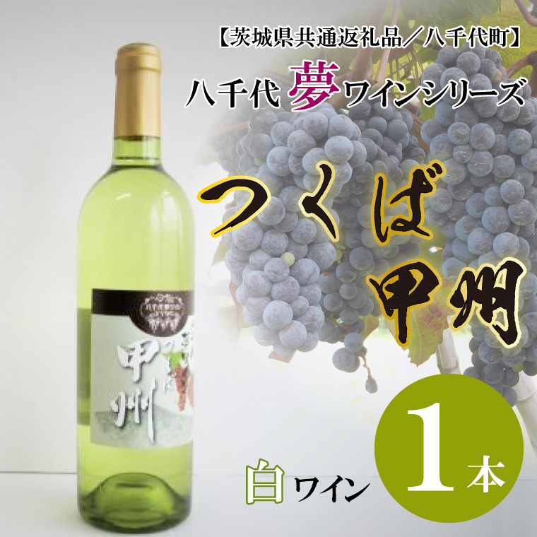 EC-12【茨城県共通返礼品/八千代町】八千代夢ワインシリーズ つくば甲州(白ワイン)1本茨城県行方市9000酒・アルコールワイン