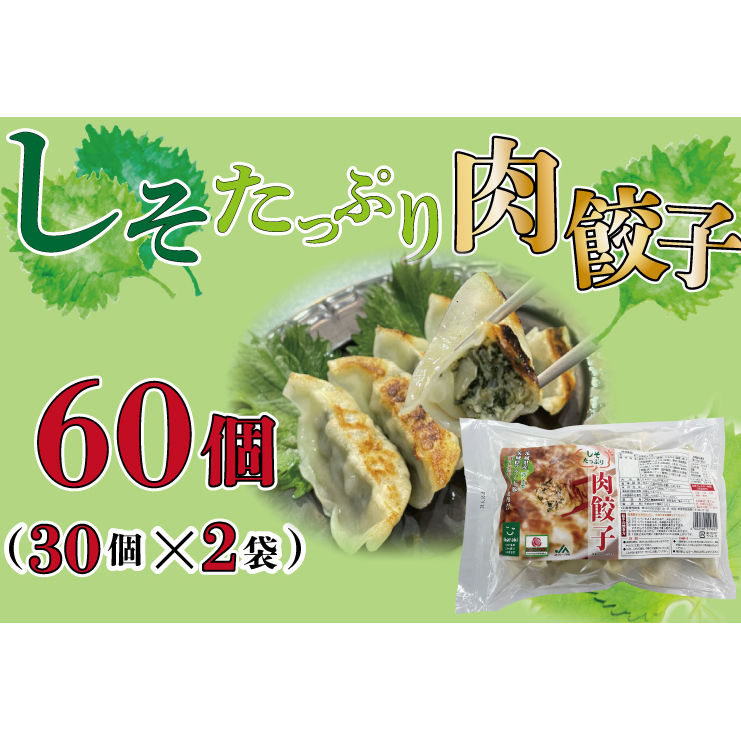 AE-52【ローズポーク使用】JA・しそたっぷり肉餃子(30個)2袋茨城県行方市10000鍋セット・総菜・加工食品その他 鍋セット・総菜・加工食品
