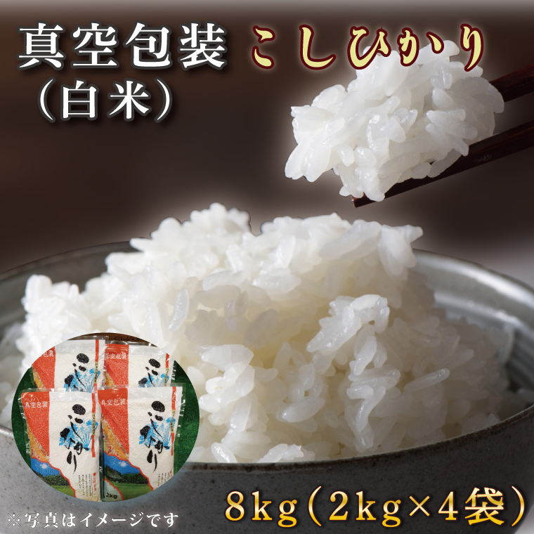 ★真空包装★R7年産こしひかり 8kg(2kg×4袋)【白米】|米 こめ お米 コシヒカリ こしひかり 真空 真空包装 白米 人気 個包装 茨城県 行方市 (CZ-8-2)茨城県行方市24000米・パン白米