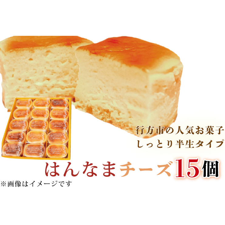 H-28-1 はんなまチーズ15個茨城県行方市11000菓子・スイーツケーキ・カステラ