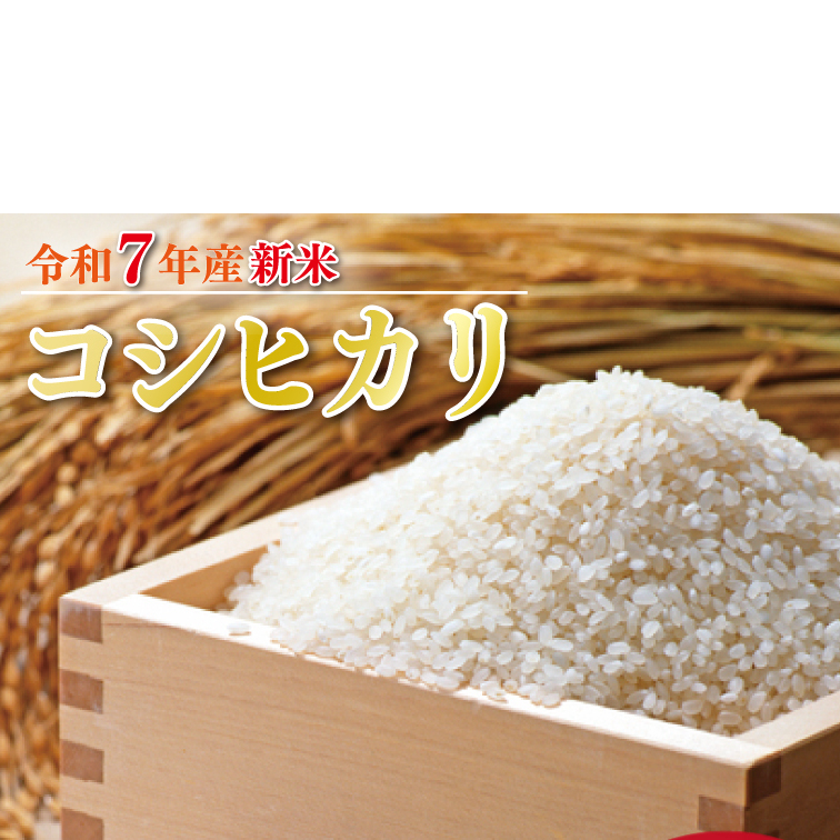 y2025N9{菇zVāR7NY RVqJ 20kg(5kg×4)b    V R7NY ߘa7NY Ђ RVqJ 錧 錧Y ss(HA-15)錧ss46000āEp