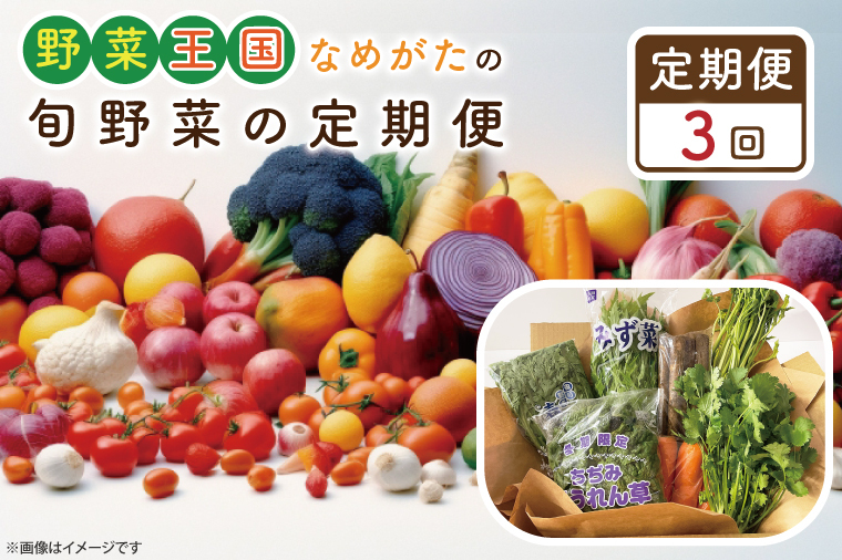 CU-128 【3ヶ月定期便】野菜王国なめがたの旬野菜の定期便茨城県行方市30000野菜・きのこその他 野菜