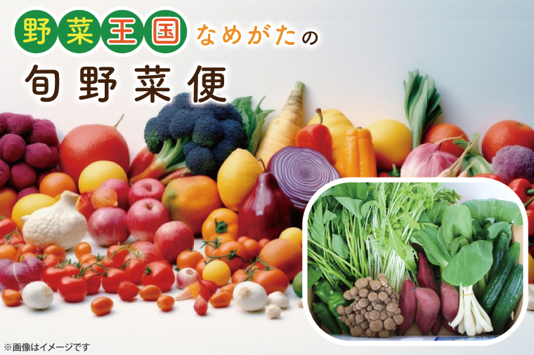CU-131 野菜王国なめがたの旬野菜便(さつまいも入り)茨城県行方市10000野菜・きのこその他 野菜