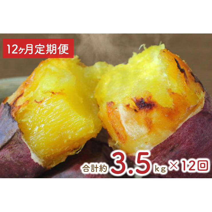 y12ցz傫߃TCYng͂邩ⓀĂ3.2kg{܂i킳܂ v3.5kg!iEY-24j錧ss120000؁ÊႪEC