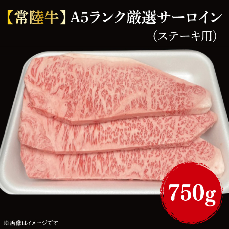 【常陸牛】A5ランク厳選サーロイン(ステーキ用)250g×3|肉 お肉 肉類 サーロイン サーロインステーキ ステーキ バーベキュー BBQ キャンプ 常陸牛 厳選 A5 贅沢 茨城県 行方市(FL-11)茨城県行